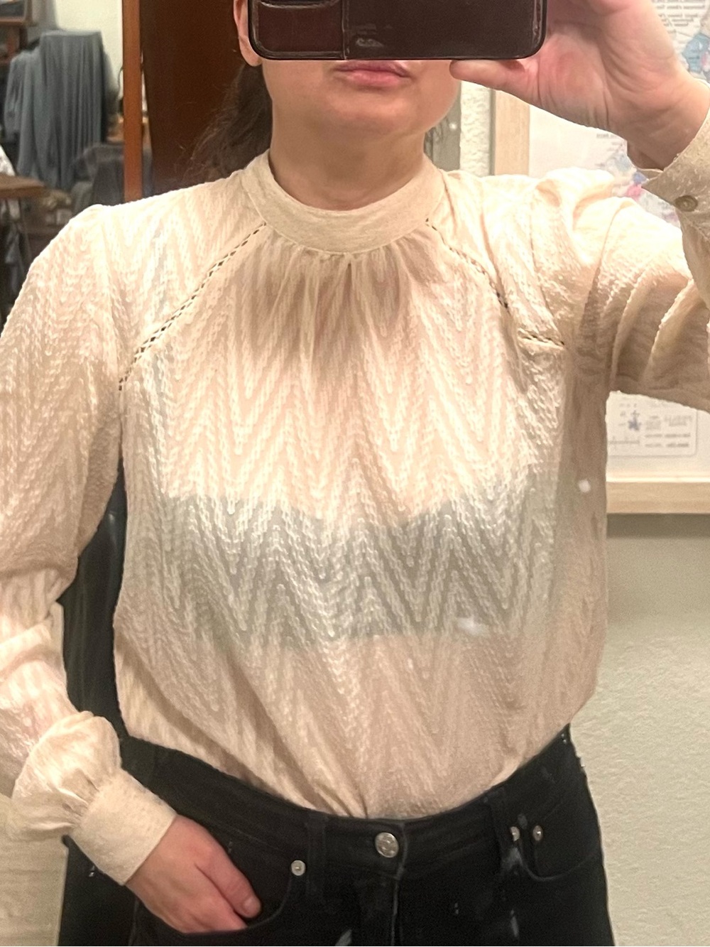 Free People Sheer Chevron longsleeve blouse in blush